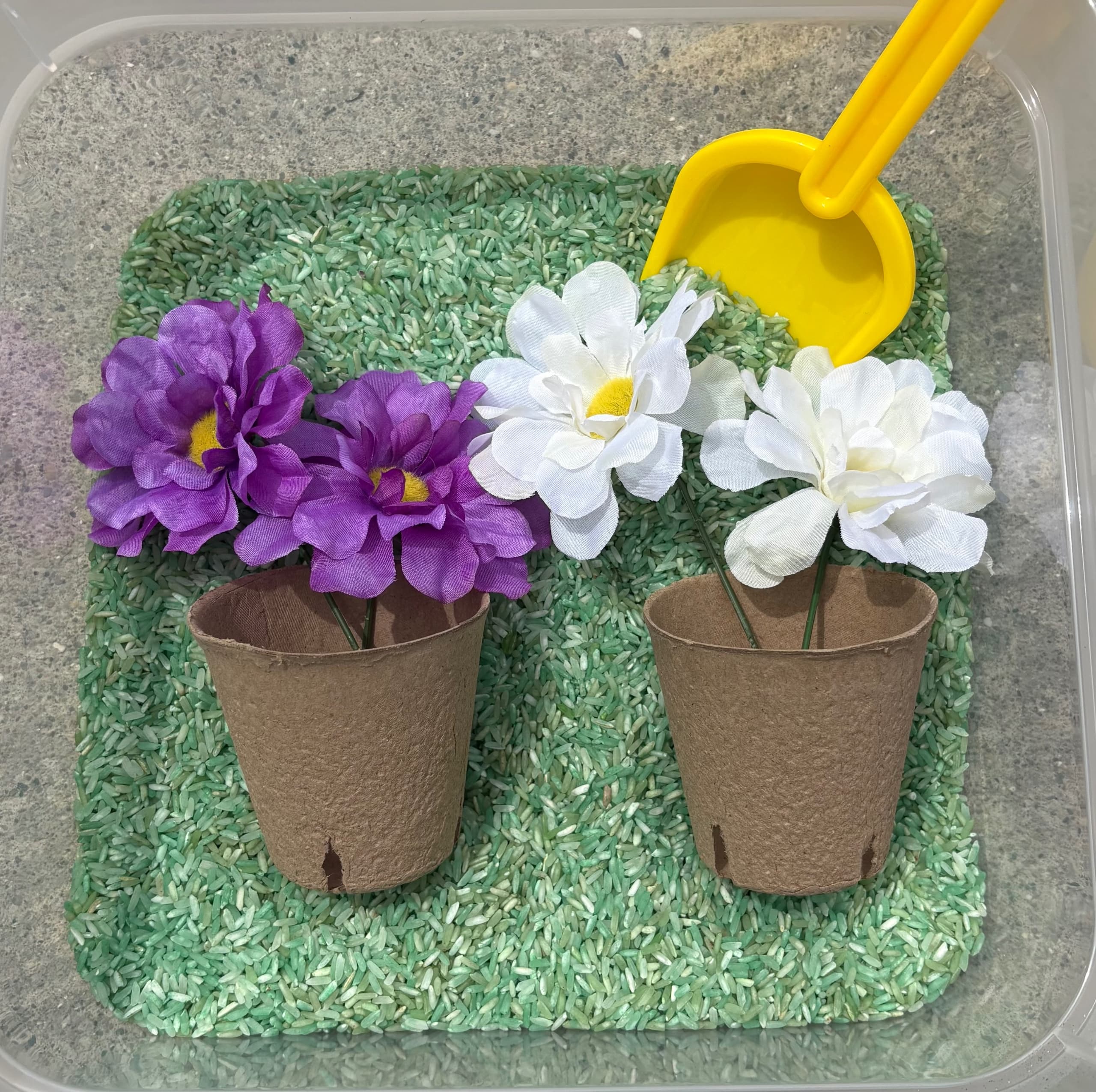 Bloom and Grow Kit 1