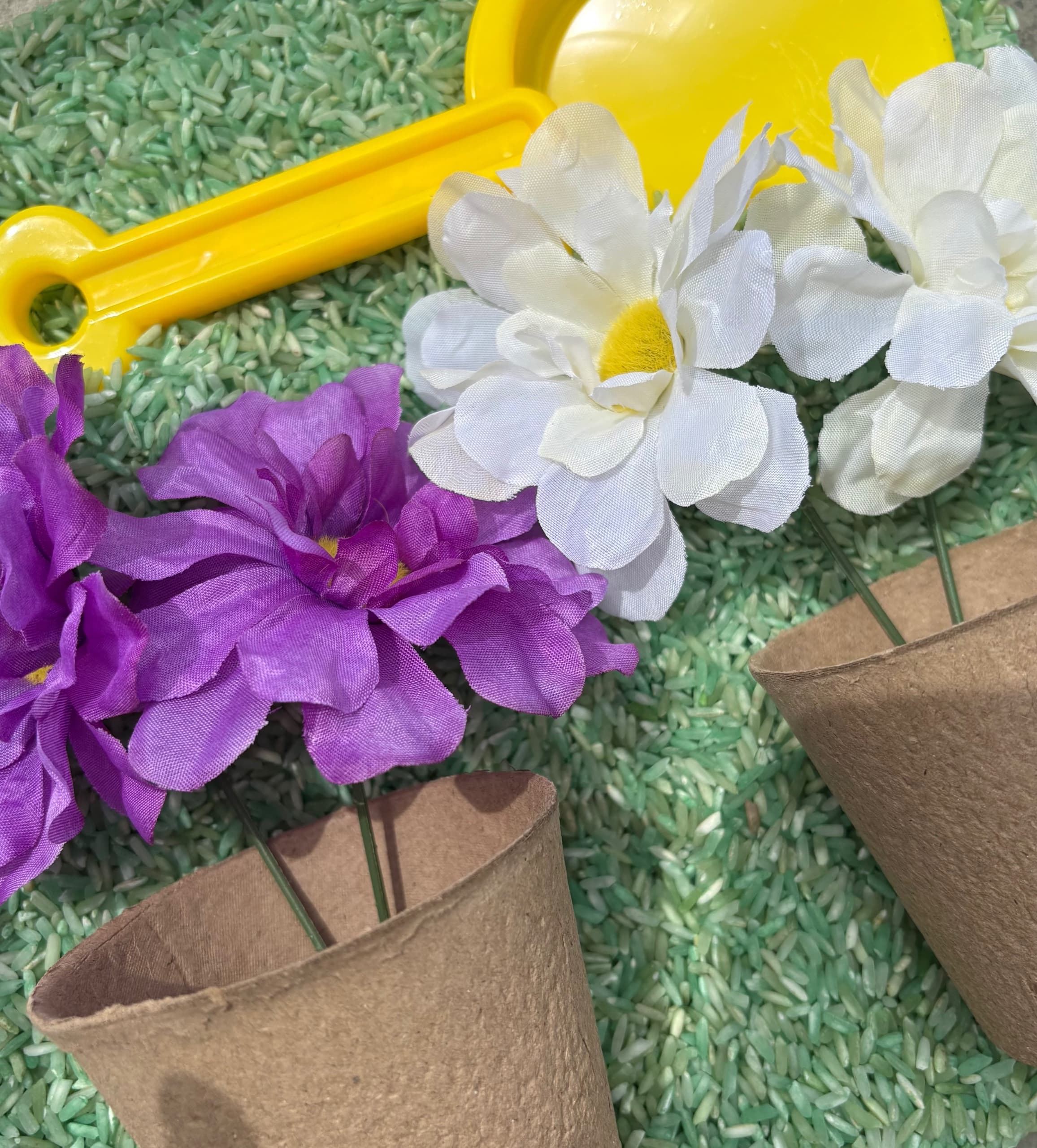 Bloom and Grow Kit 2