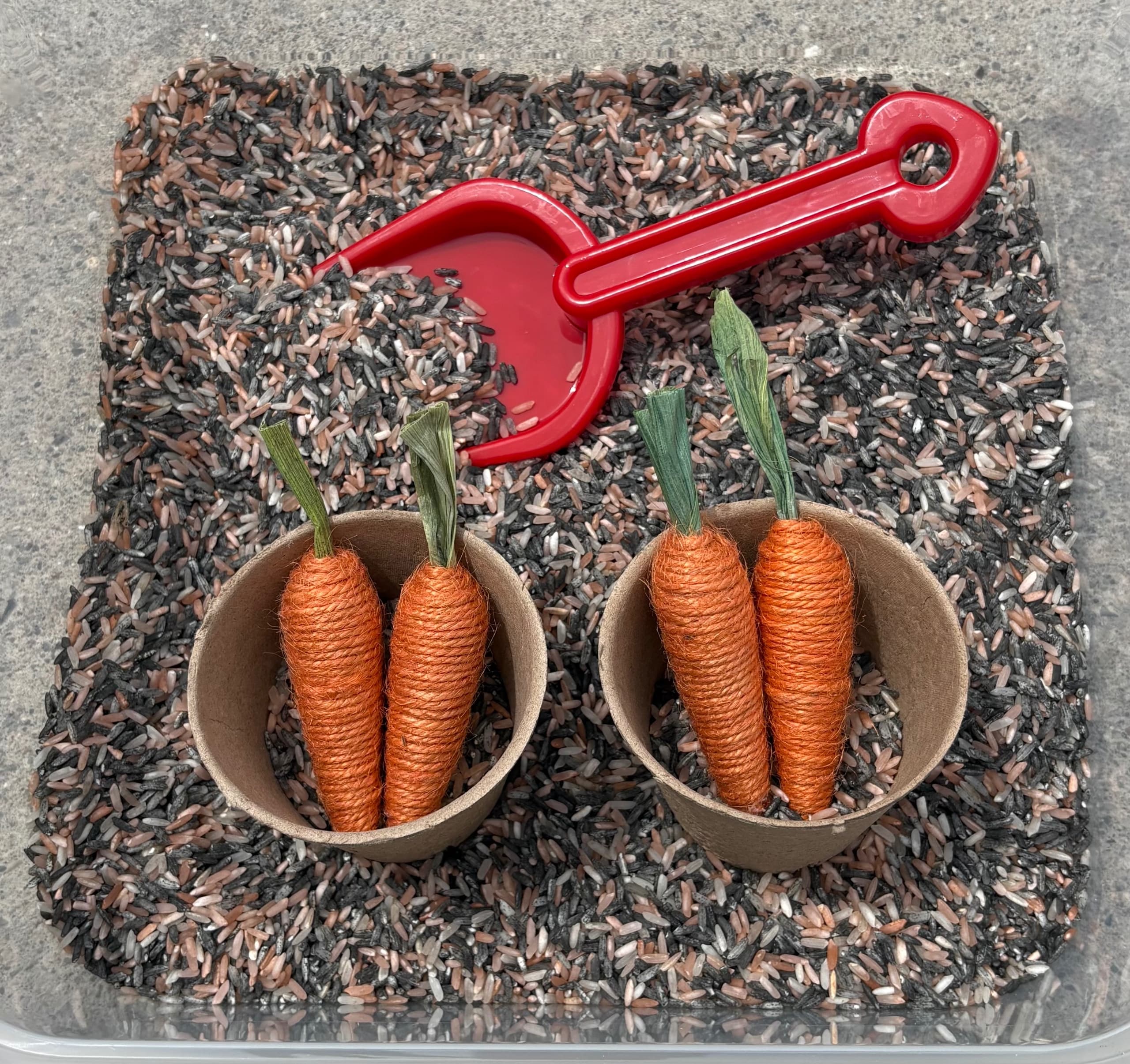 Carrot Patch Play Kit 1