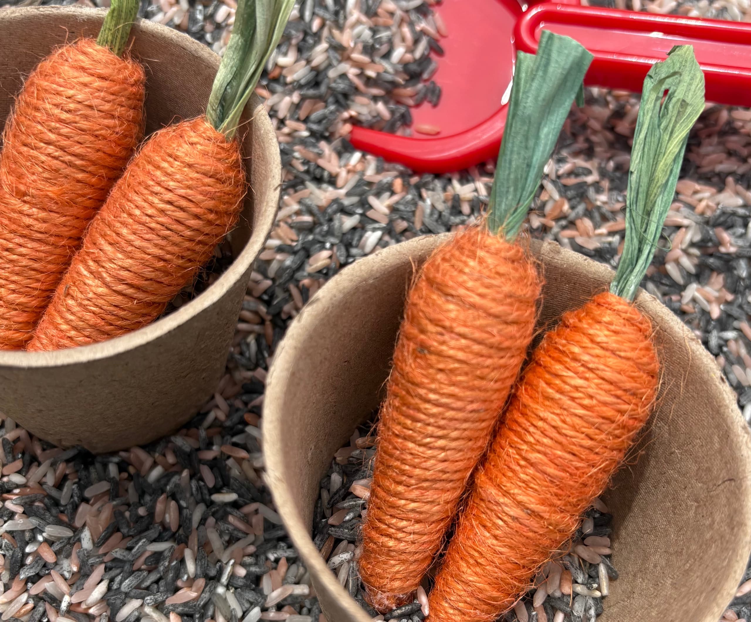 Carrot Patch Play Kit 2
