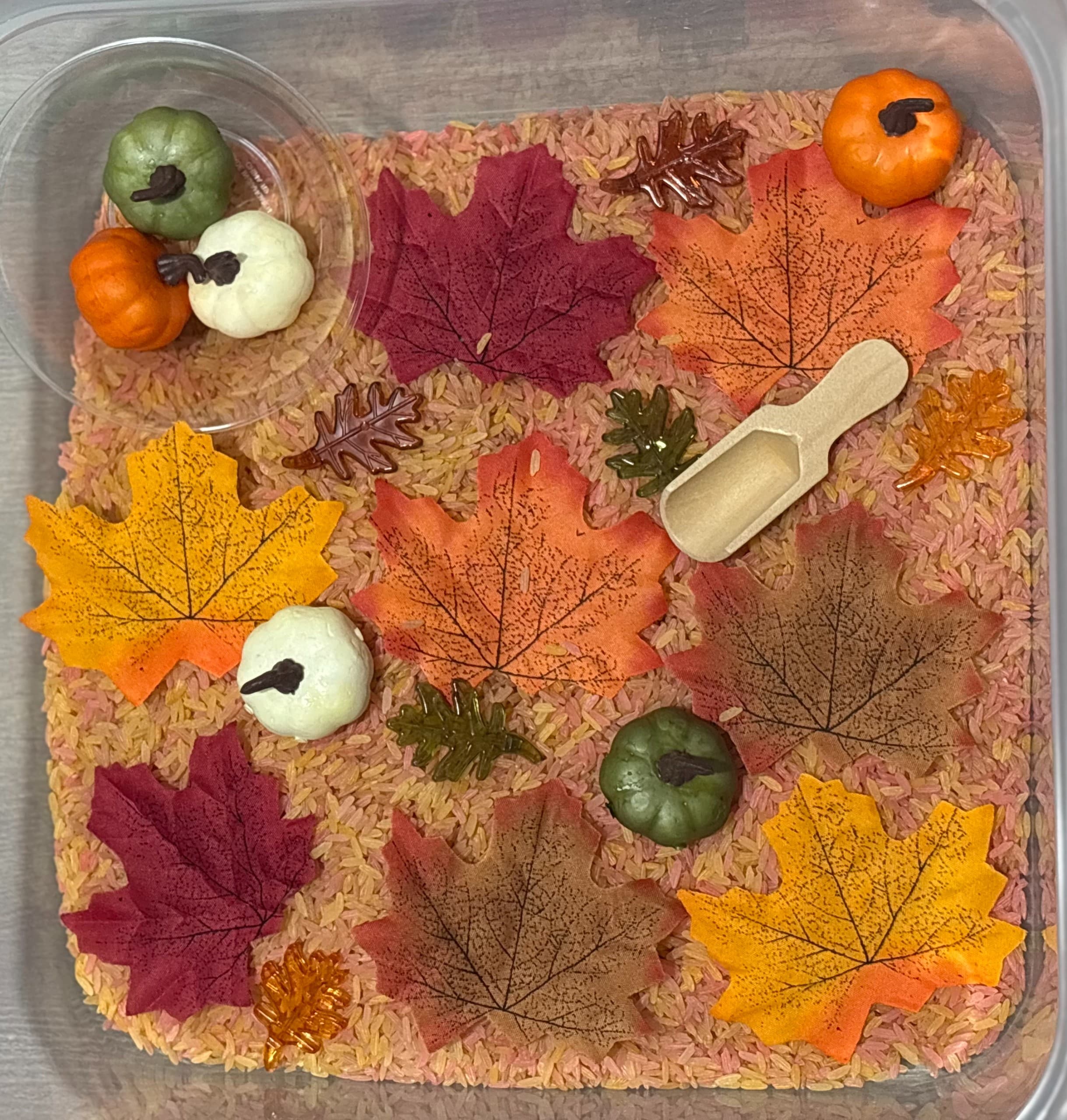 Fall Fun 1