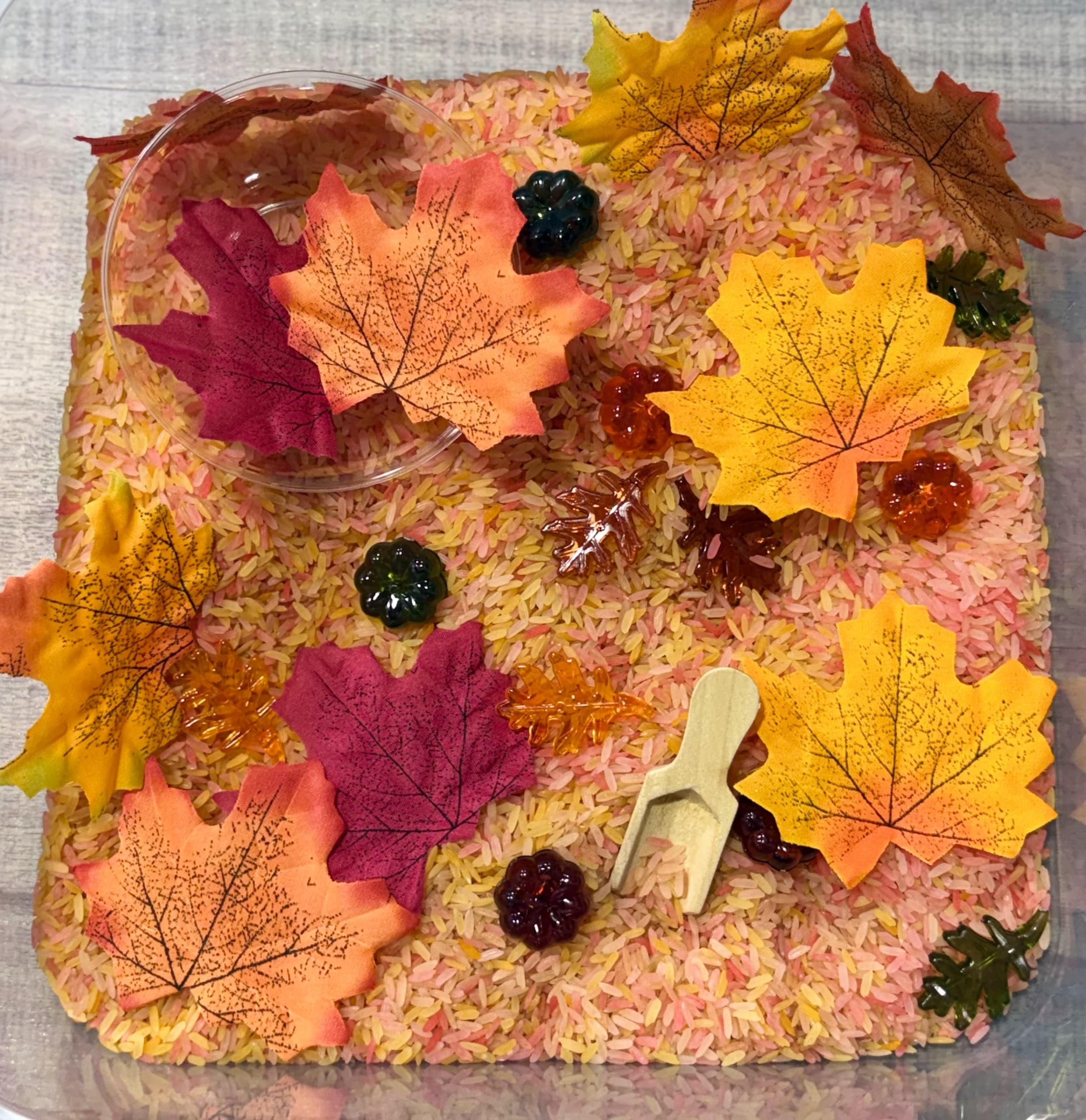 Fall Fun 2