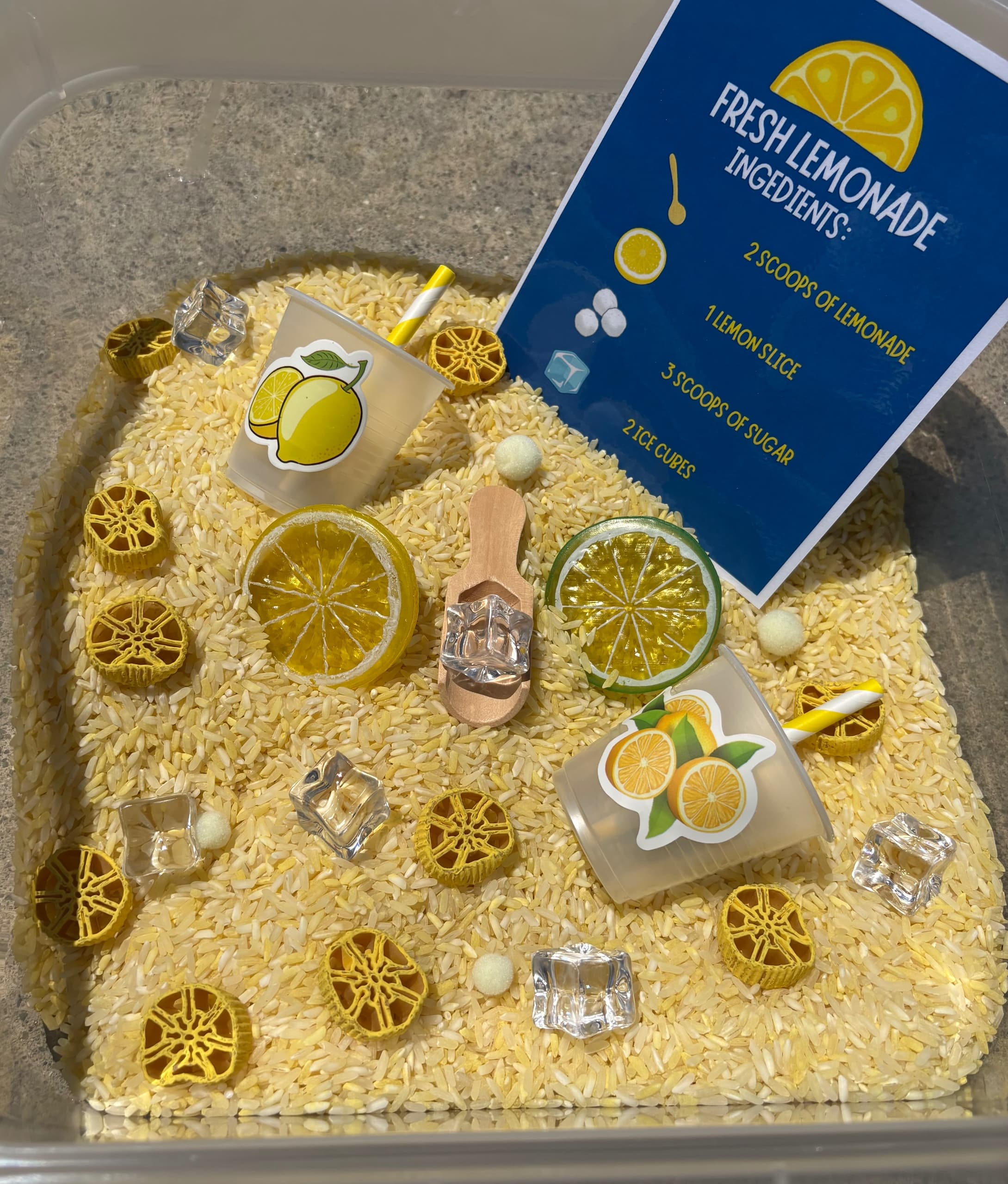 Lemonade Stand Kit 1