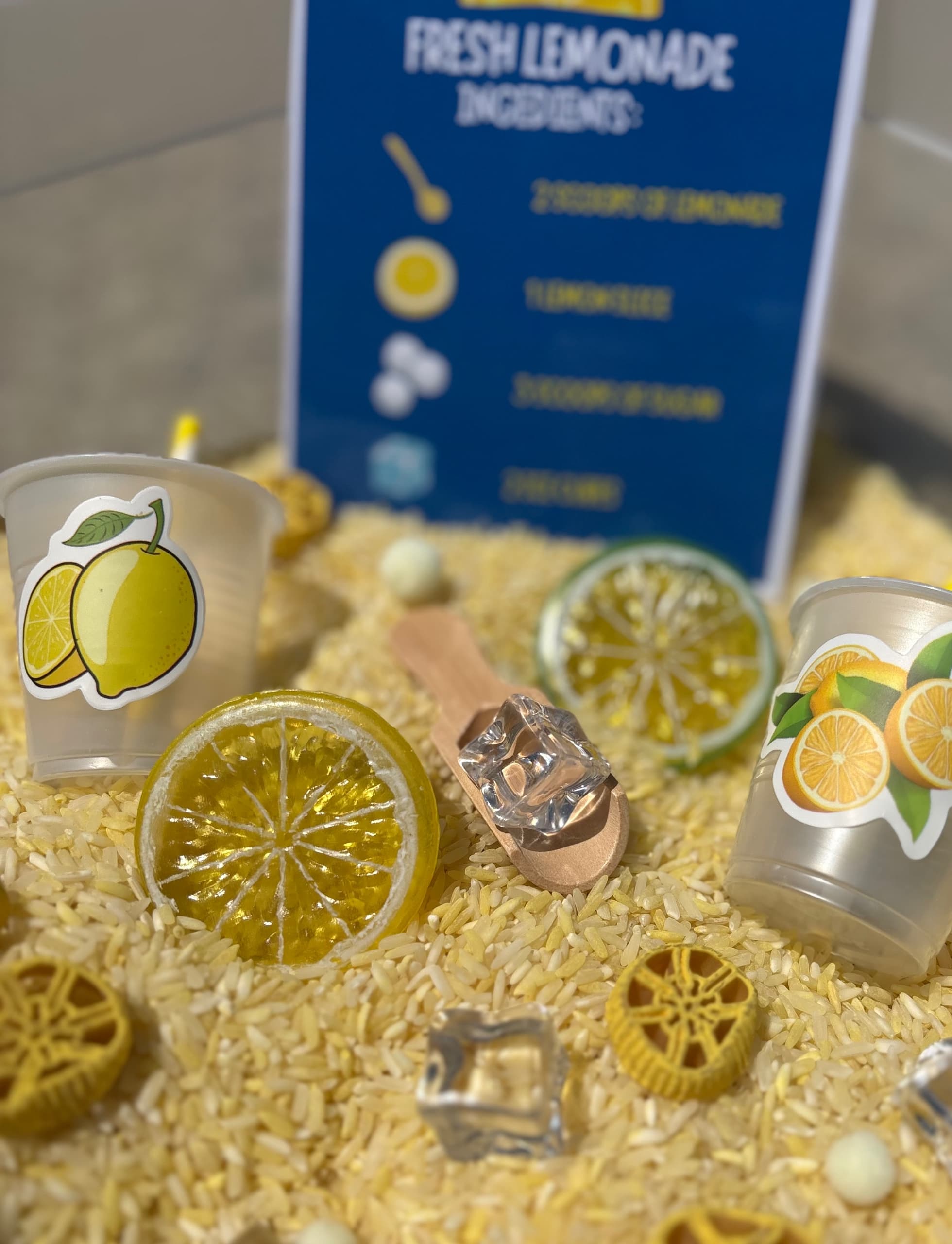 Lemonade Stand Kit 2