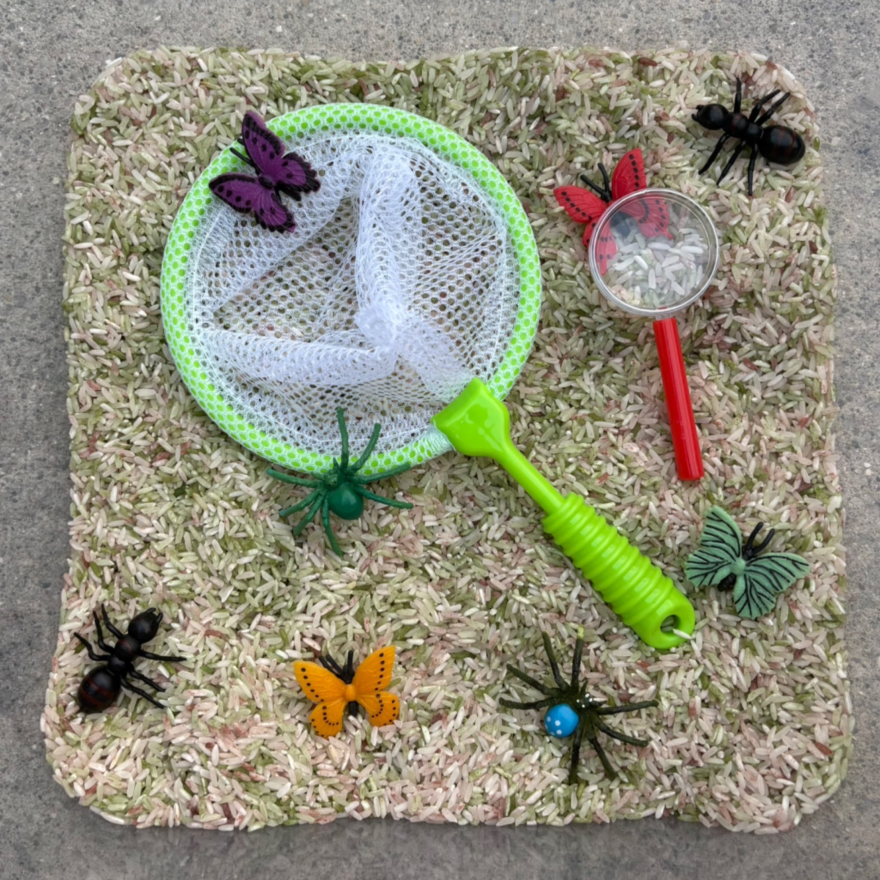 Backyard Bug Hunt Sensory Kit 1
